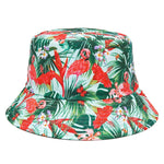 Bob Oiseau Tropical